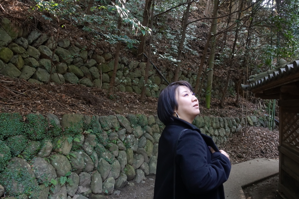 繕い屋の娘カヤ　曄田依子　愛媛県宇和島市　宇和津彦神社　一宮様　岩崎書店のブログ