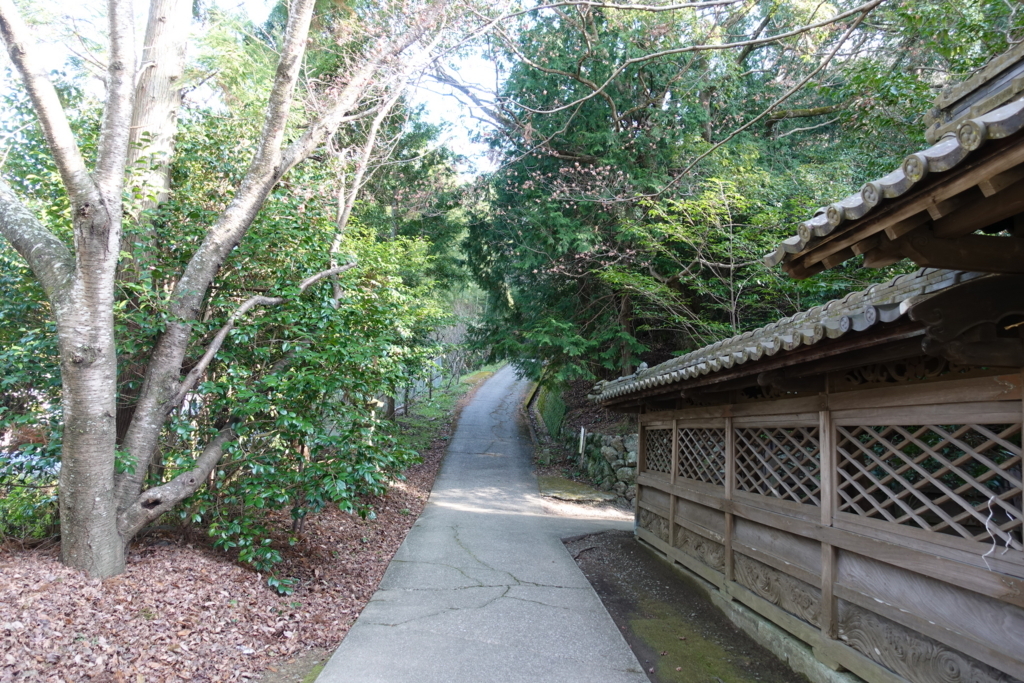 繕い屋の娘カヤ　曄田依子　愛媛県宇和島市　宇和津彦神社　一宮様　岩崎書店のブログ